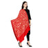Women's Aari Embroidered Wool Shawl